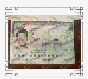 参军经历申请美国B2签证获得10年签！